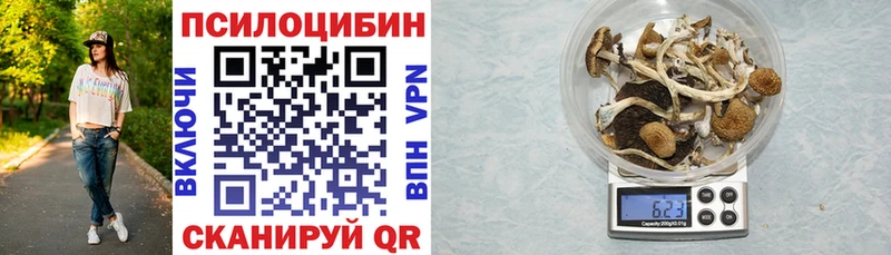 Галлюциногенные грибы Cubensis  Мостовской 